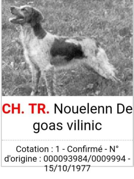 Nouelenn de Goas Vilinic | Brittany 