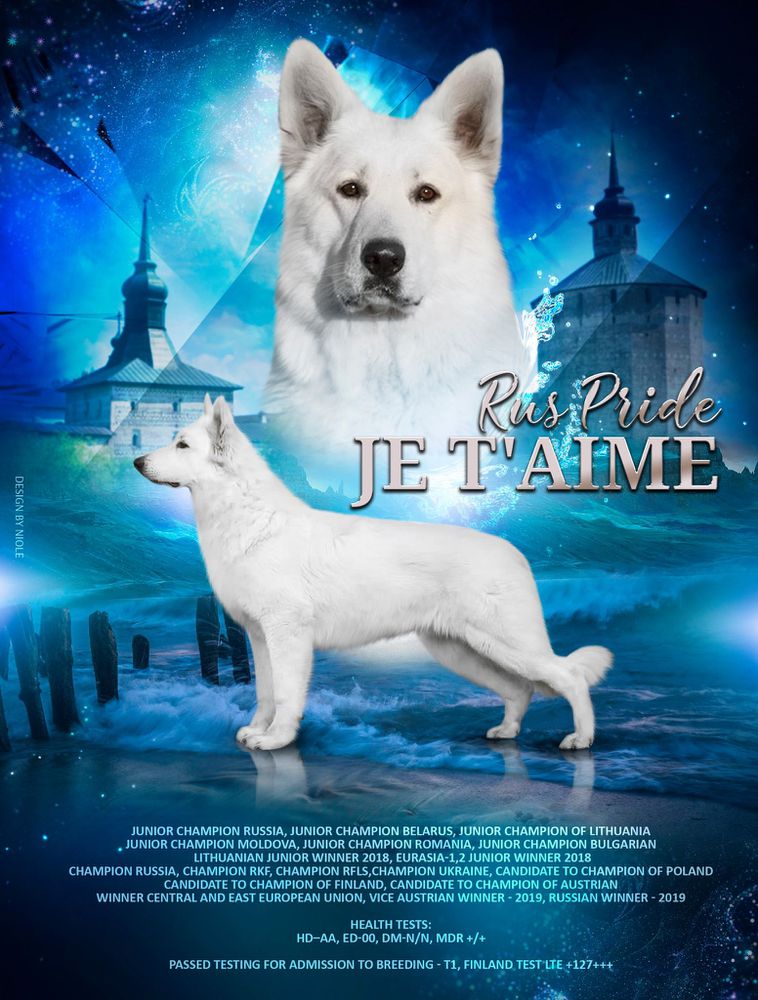 RUS PRIDE JE T'AIME | White Swiss Shepherd Dog 
