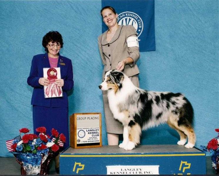 Pacific East Virginia Blues | Australian Shepherd 