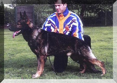 Ary vom Lehnenbachtal | German Shepherd Dog 