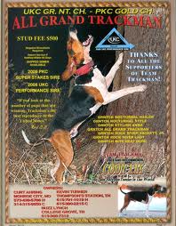 All Grand Track Man | Treeing Walker Coonhound 