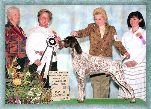 Serakraut BreaknRules Coronet | German Shorthaired Pointer 