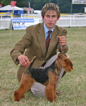 Saredon Dressed To Impress | Welsh Terrier 