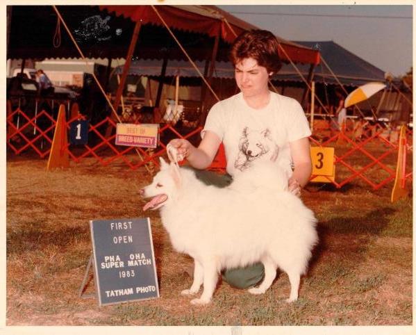 PRINCESS PANDORA IVANHOE | American Eskimo Dog 