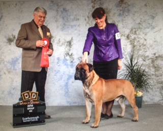 Knatchbull's 5th Avenue Marquee | Bullmastiff 