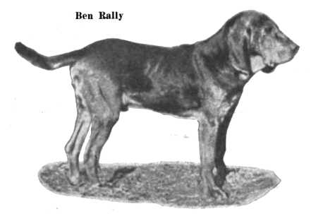 Ben Rally (1904) | Bloodhound 