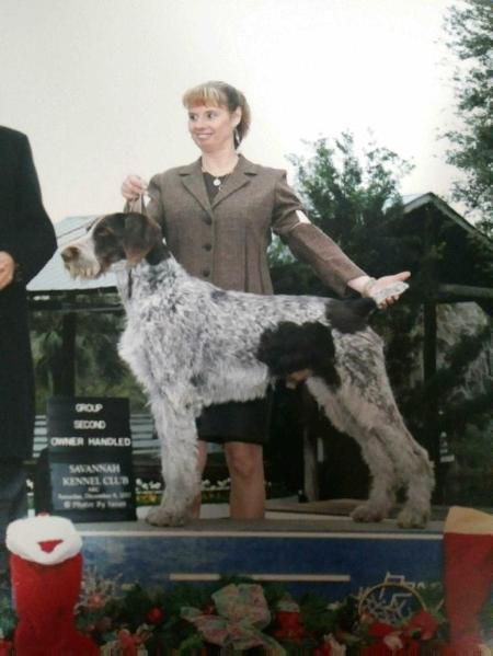 FORTYLIX AFTERHOURS ADPG GET OFFA MY CLOUD | German Wirehaired Pointer 