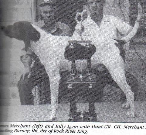 Merchant's Bawling Barney | Treeing Walker Coonhound 