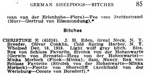 Christine E (1918) | German Shepherd Dog 