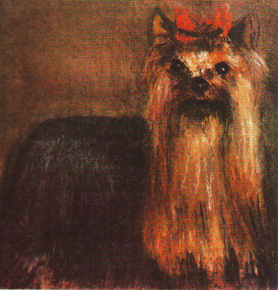 Trouble Maker of Millmoor | Yorkshire Terrier 