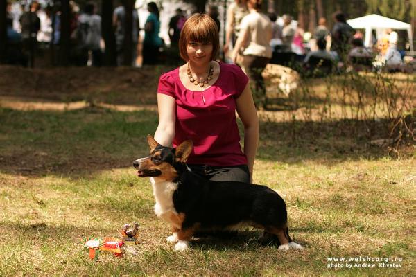 Aethwy Atomic | Cardigan Welsh Corgi 