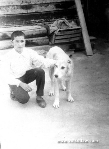 Siertlan | Central Asian Shepherd Dog 