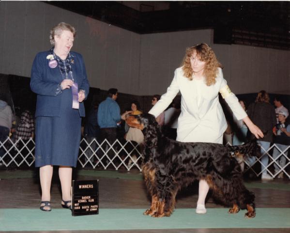 Sundance Serenade | Gordon Setter 