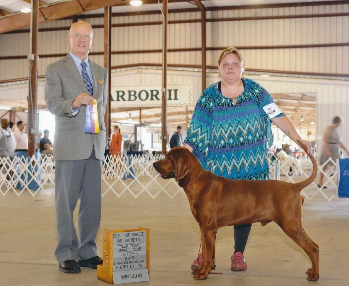 3Colors Jet Red | Redbone Coonhound 