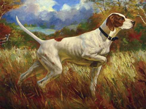 Fishel's Frank (1904) | Pointer 