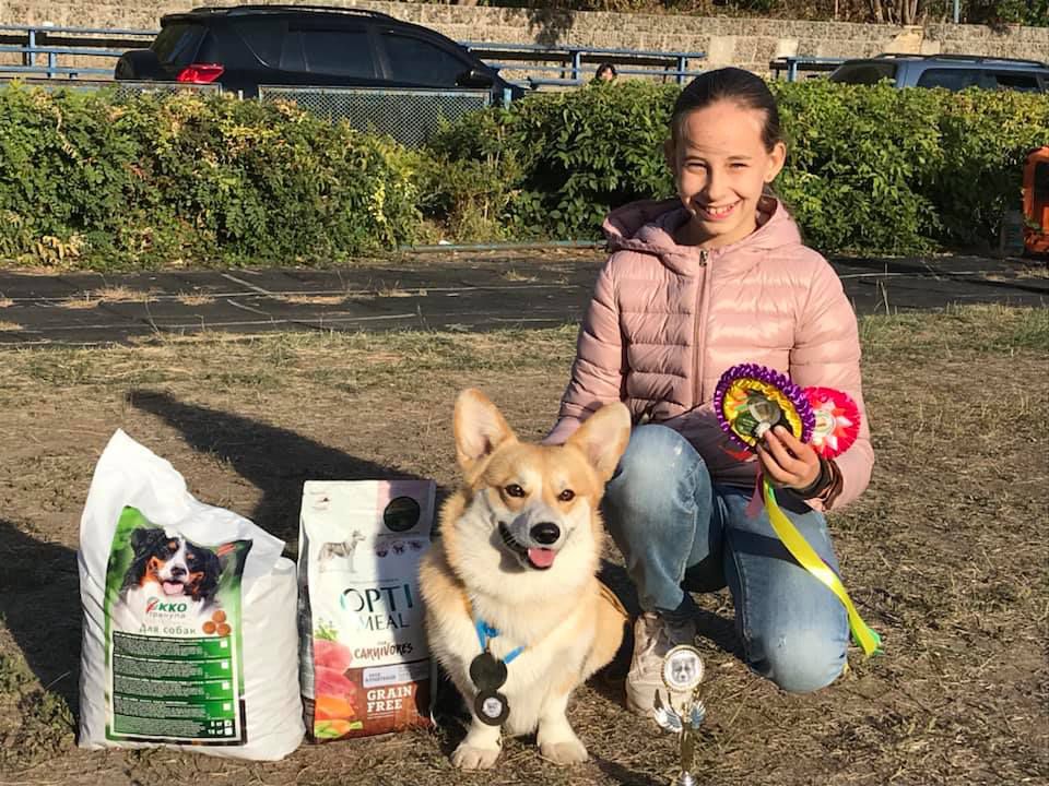 Hailait's Maximus | Pembroke Welsh Corgi 