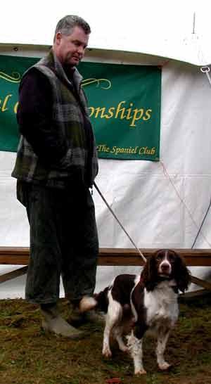 Woodstorm Weasel | English Springer Spaniel 