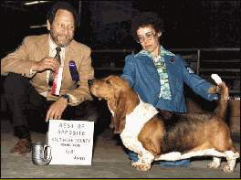 Tal-E-Ho's Top Banana | Basset Hound 