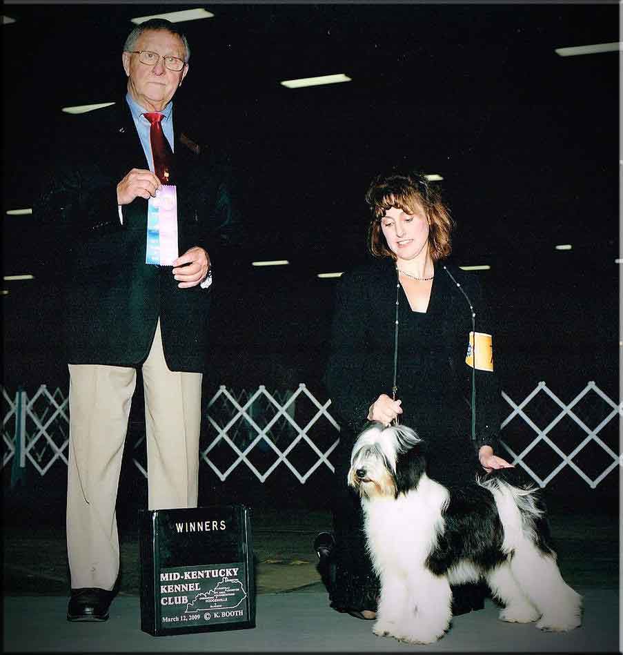 BARNSTORM SIM PA LY SPARKLES BY DZINE | Tibetan Terrier 