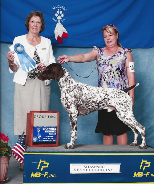 STELOR'S ROYALTY REMEMBERED | German Shorthaired Pointer 