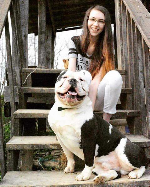 EastSide's Geno of BuffaloCreek | Olde English Bulldogge 