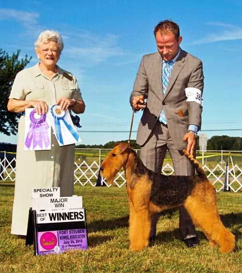 Joval Don't Stop Believin' | Airedale Terrier 