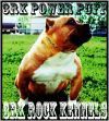 3RD ROCK KENNEL POWER PUFF | American Pit Bull Terrier 