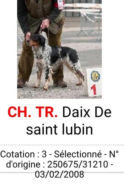 DAIX de Saint Lubin | Brittany 