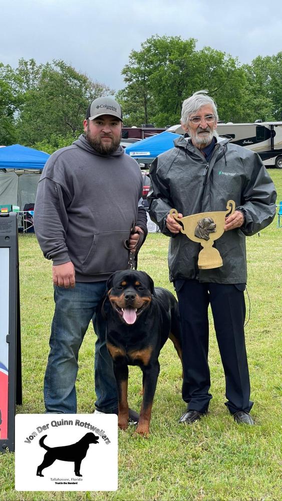 A. Zeus Von Der Quinn | Rottweiler 