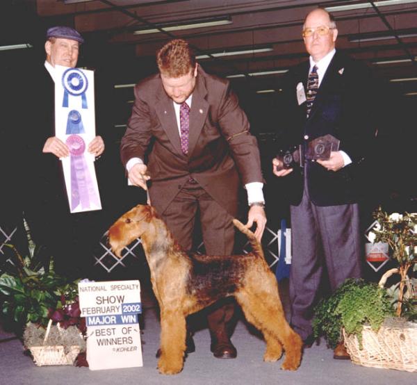 Moraine Terydale HK Exchange | Airedale Terrier 