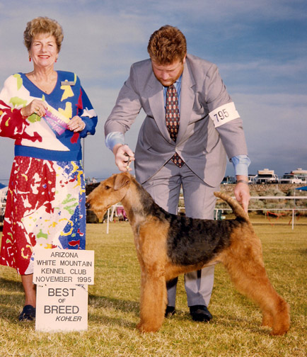 Darbywood's Eye on the Future | Airedale Terrier 