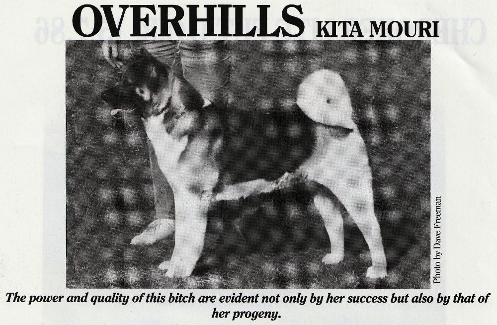 Overhill's Kita Mouri | Akita 