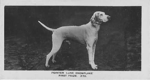 Lune Snowflake (1914) | Pointer 