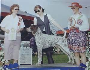 Maekenet's Flying Persuasion | German Shorthaired Pointer 