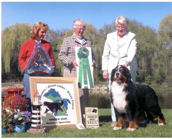 Peacefield  Flashback V Dragon | Bernese Mountain Dog 