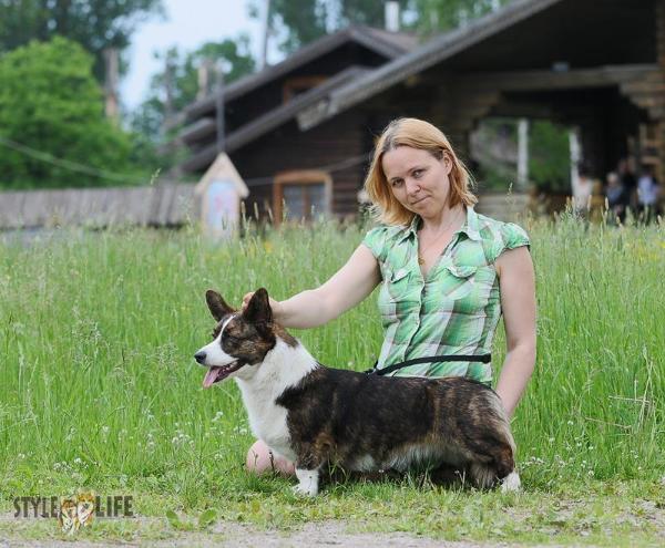 Dannidaks Feliksina Berniss | Cardigan Welsh Corgi 