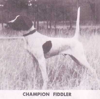 FIDDLER | Pointer 