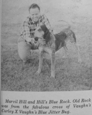 Hills Blue Rock | Bluetick Coonhound 