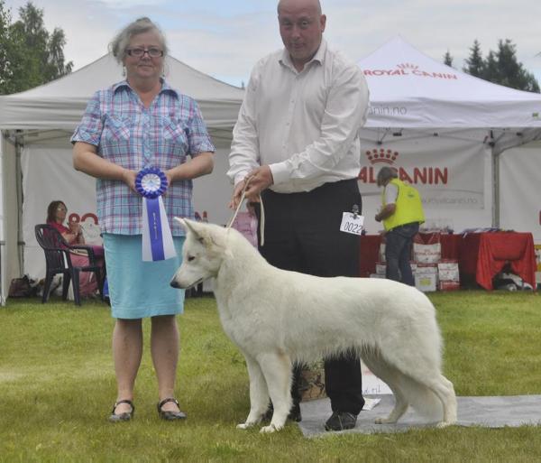 Chill Giants D-Beylas Hope To Mona | White Swiss Shepherd Dog 