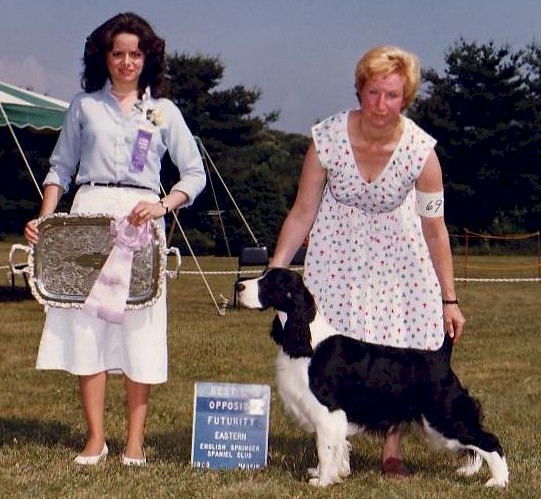 Kabinwood's Semper Fidelis | English Springer Spaniel 