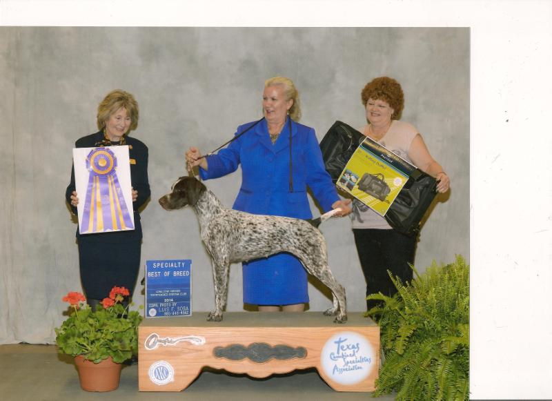 Braerwood Country Wind Duchess of York | German Shorthaired Pointer 