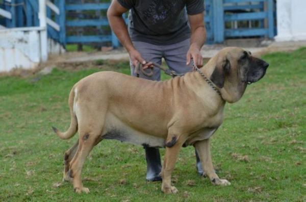 esfinge da serra de itanhandu | Fila Brasileiro 