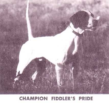 FIDDLER'S PRIDE | Pointer 