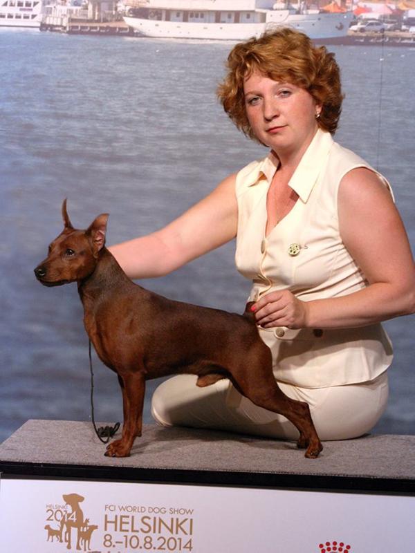 Slavjan Solomon Santa Julf | Miniature Pinscher 