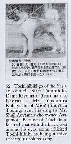 Tochi Hibiki Go | Akita 