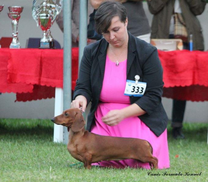 KURZEBEINE ITALIAN PASTA CANIS FORMULA | Dachshund 