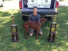 The Red Rocker | Redbone Coonhound 