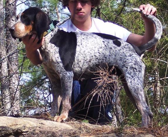 J's Frog Hollow Blu Casper | Bluetick Coonhound 