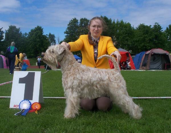 Bon Aquarel Match Point | Soft Coated Wheaten Terrier 