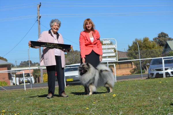 Kahnhond Touch O Magic | Keeshond 